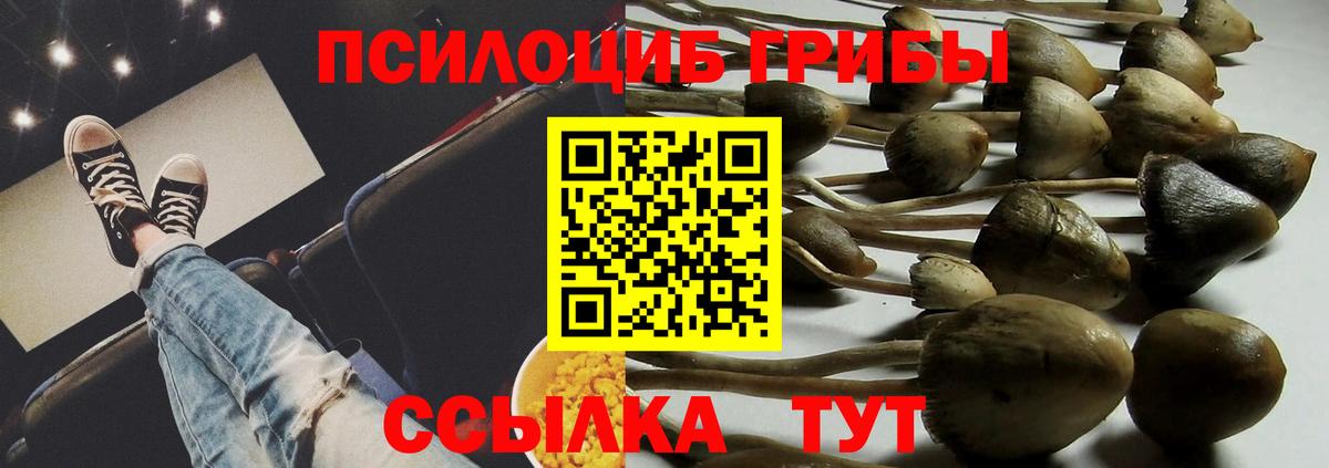 Галлюциногенные грибы MAGIC MUSHROOMS  Вход с VPN  даркнет сайт  Псилоцибиновые грибы Magic Shrooms  Надым 